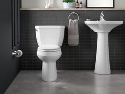 Kohler Coralais Toilet paper holder - Polished Chrome - image 4