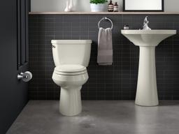 Kohler Coralais Towel ring - Polished Chrome - image 4