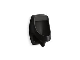 DexterE Washout half-stall 0.125 gpf urinal, rear spud - image 2
