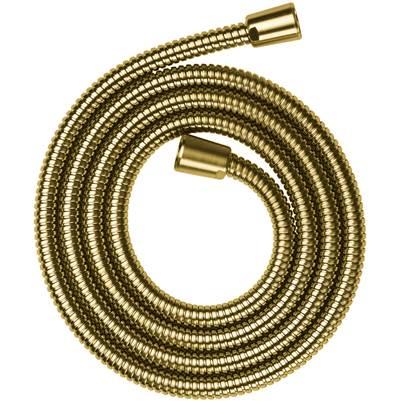 AXOR ShowerSolutions Metal Handshower Hose, 80'' in Brushed Gold Optic by Axor