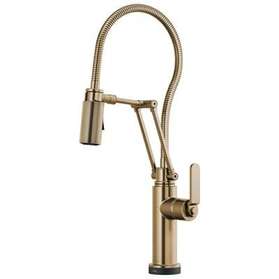 Litze SmartTouch Articulating Kitchen Faucet With Finished Hose
