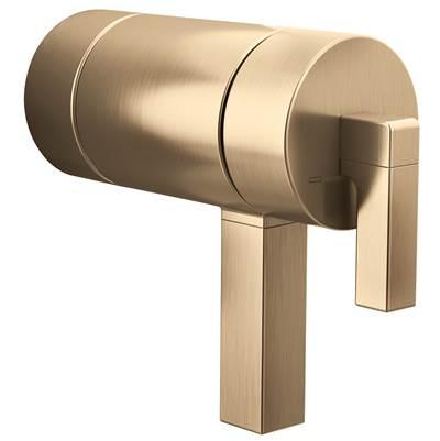 Frank Lloyd Wright TempAssure Thermostatic Valve Lever Handle Kit by Brizo