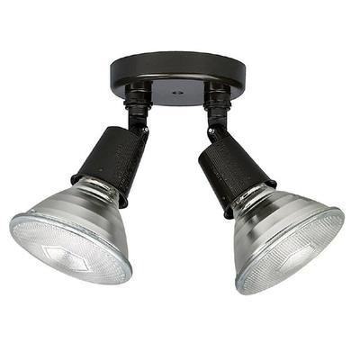 2 Light Cast Floodlight by Capital Lighting
