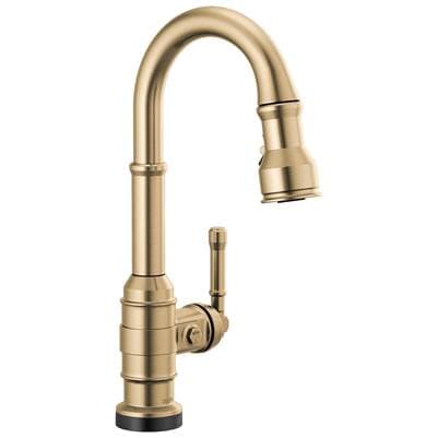 Delta Faucet BroderickE | Single handle | Pull-down - Champagne Bronze