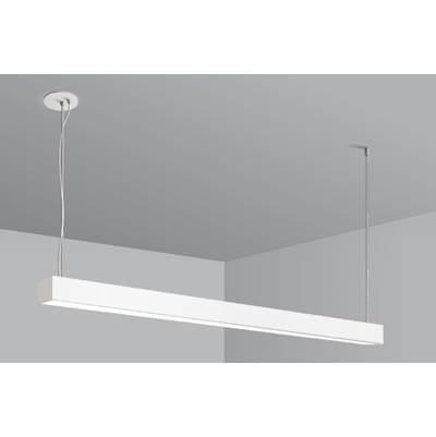 8Ft,F55,Susp,3000K,Wht by Eurofase