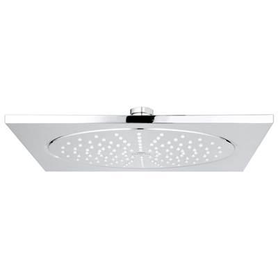 10 Shower Head - 1 Spray, 1.75 gpm by Grohe