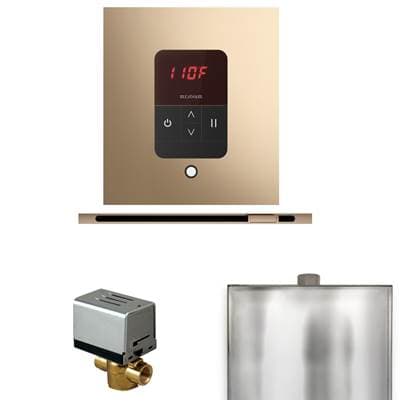 Mr. Steam Basic Butler Steam Shower Control Package with Square Itempo Control and Linear... by Mr. Steam