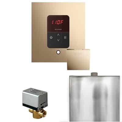 Mr. Steam Basic Butler Steam Shower Control Package with Square Itempo Control and Linear... by Mr. Steam