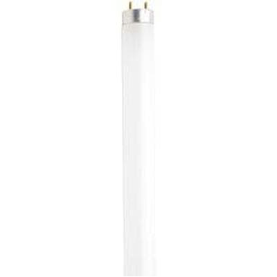 Satco F17t8/835/eco 22136 - Frost by Satco