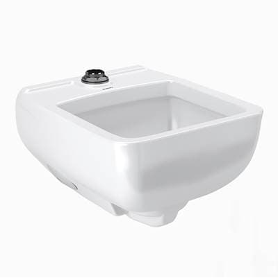 Sloan Ss3200 WALL HUNG Healthcare Service SINK by Sloan