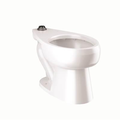 ST2029A-BPL-STG CLOSET ASM ADA FMTS UNIV by Sloan