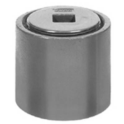 Zurnindustries Cleanout Ferrule, 2'' NH Outlet W/ Plug-bronze Plug by Zurn Industries