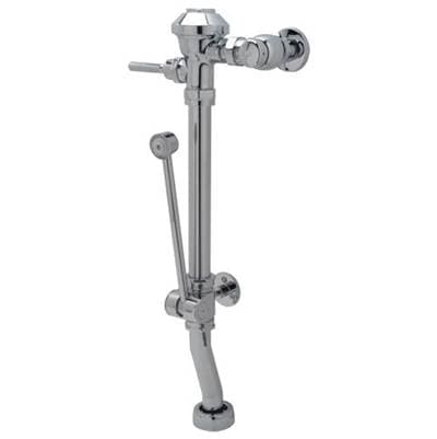 Zurnindustries Z6011-ws1-bwn-vc-yb-yc by Zurn Industries