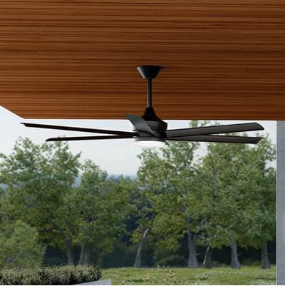 65 Inch Solen Fan