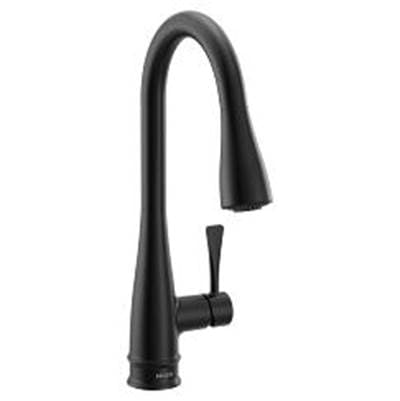 Riverwood Kitchen Pulldown Faucet - Bl by Moen