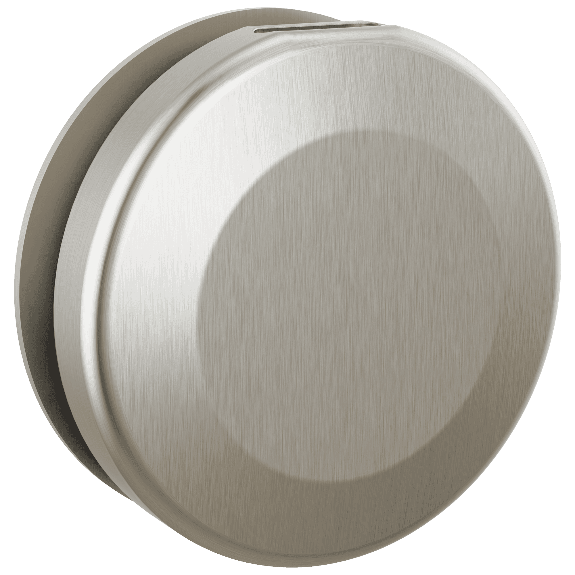 Delta Faucet Universal Showering Components Round Steam Head - Lumicoat Stainless by Delta Faucet