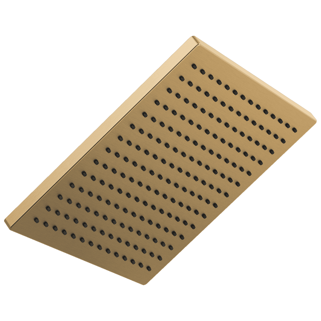 Delta Faucet Universal Showering Components Single-Setting Metal Raincan Shower Head - Champagne Bronze by Delta Faucet