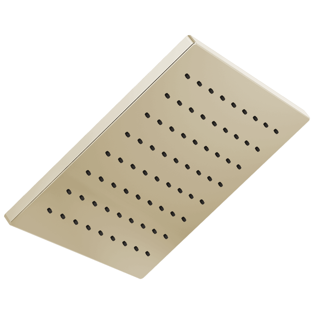 Delta Faucet Universal Showering Components Single-Setting Metal Raincan Shower Head - Lumicoat Polished Nickel by Delta Faucet