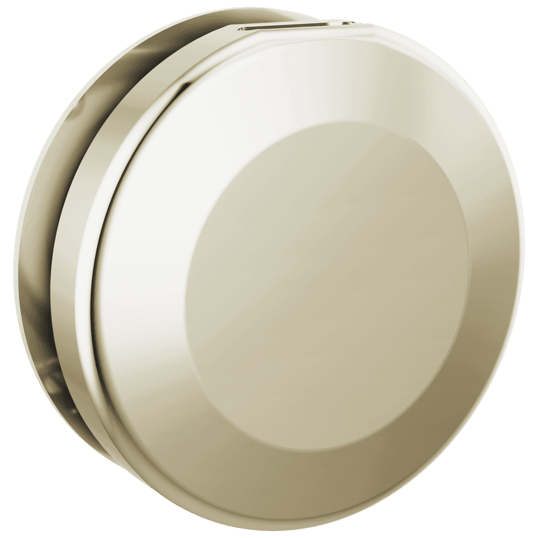 Delta Faucet Universal Showering Components Round Steam Head - Lumicoat Polished Nickel by Delta Faucet