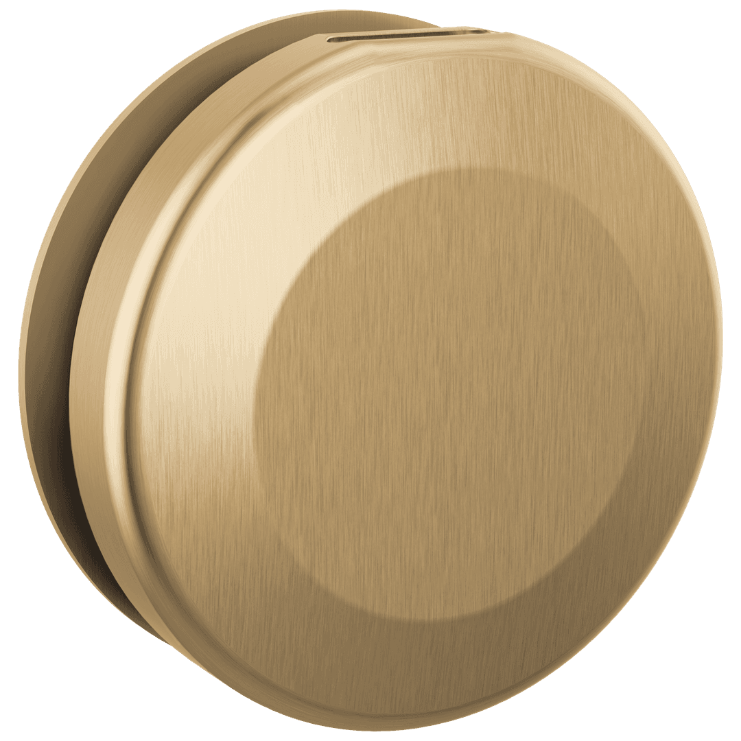 Delta Faucet Universal Showering Components Round Steam Head - Lumicoat Champagne Bronze by Delta Faucet