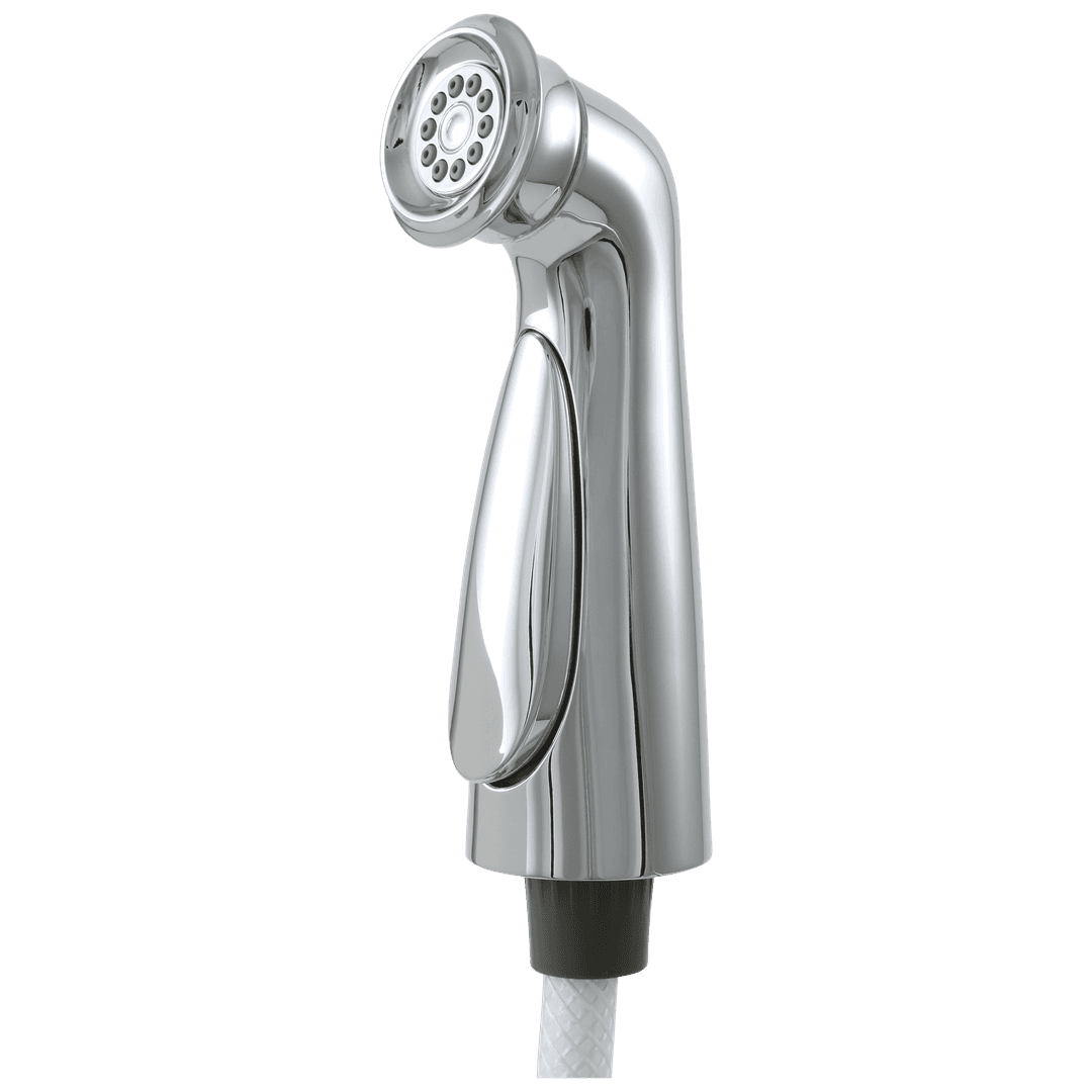 CassidyE Side Spray & Hose Assembly by Delta Faucet