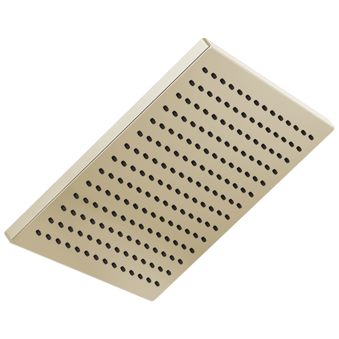 Delta Faucet Universal Showering Components Single-Setting Metal Raincan Shower Head - Lumicoat Polished Nickel by Delta Faucet